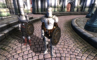 Male Version of the Armor