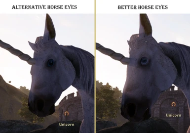 Unicorn Comparison