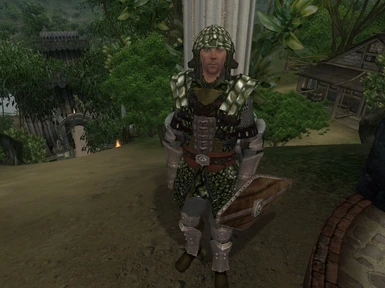 Nibenay Riverguard with newtscale armor