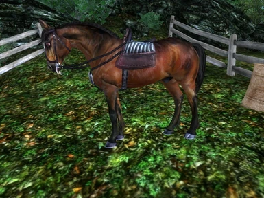 Horse Oriented Riding System Extension