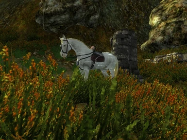 Manually Placed Auroran Warhorse