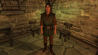 Link in Adventure Clothes