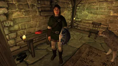 Link in Hero of Time Armor