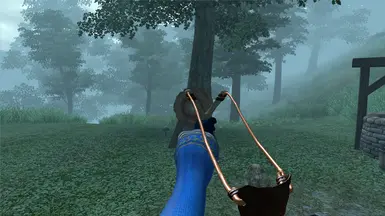 Sling Shot POV