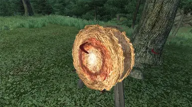 Optional Boomerang Hitting Target