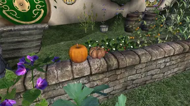 Pumpkin