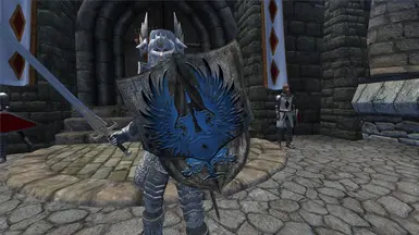 Grey Warden Heavy Shield