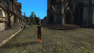NPCs wandering.