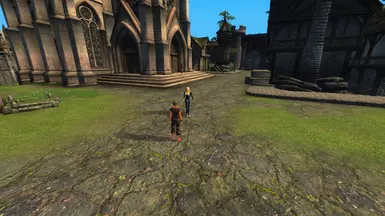 NPCs wandering.