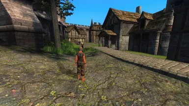 NPCs wandering.