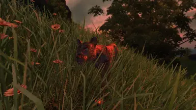 Rotting Cat.