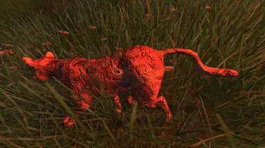 Rotting Cat.