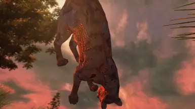 Rotting Cat.