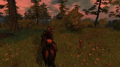 Skeletons.