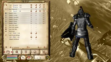 Retextured Paladin armor with no chainmail flap on helmet.