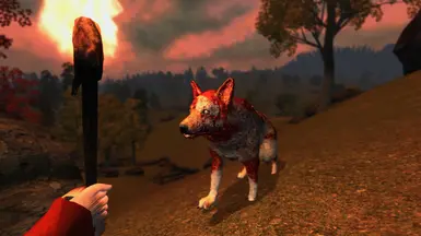 Undead Wolf
