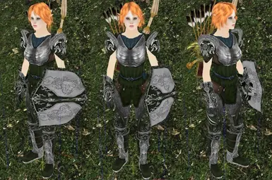 Shyhiness in Armor of Gaia