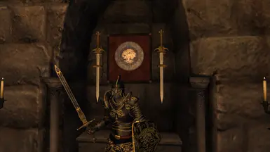 Custom Display Not in Mod