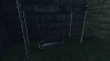 Connor Sleeping Outside in Chorrol