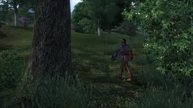 A Fighters Guild Apprentice wandering through the forest