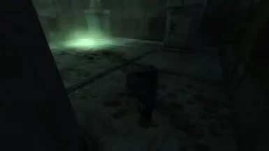 A Mages Guild Field Researcher that succumbed to a trap
