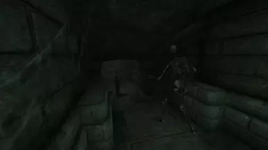 A Skooma Addict running from a Skeleton