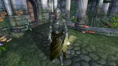 Arwen Undómiel Armored UP MERP