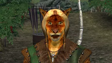 Companion JoVirr - Revised