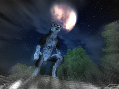 Moonlit Werewolf