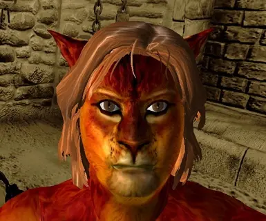 Haf Khajiit face