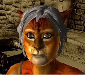 Half Khajiit face 2