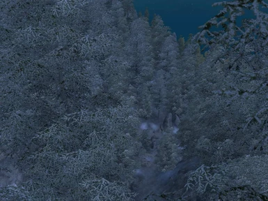 Stendarr Forest at night
