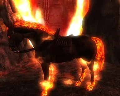 Shadow Steed Nightmare