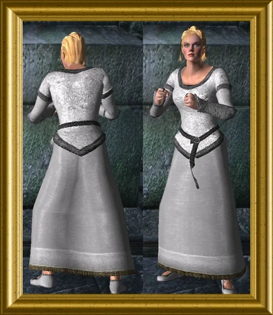 Silver Dragon - Elegant Female Clothes
