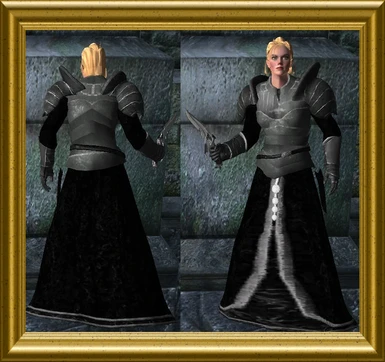 Silver Dragon - Female Knight Clothes