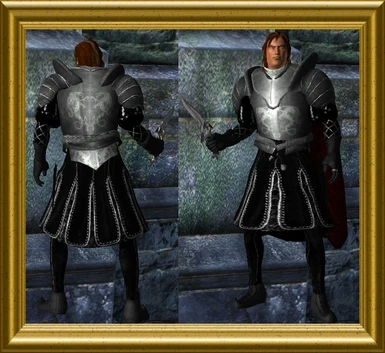 Silver Dragon - Male Knight Clothes