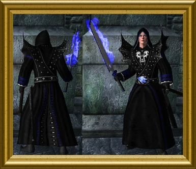 Silver Dragon - Female Mage Robes