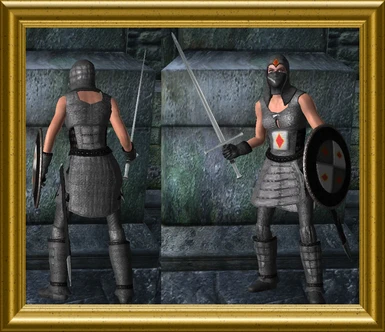 Silver Dragon - Female Crusader Armor