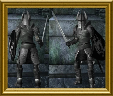 Silver Dragon - Female Knight Armor