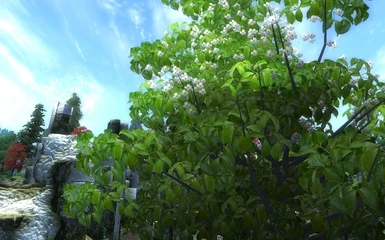Improved Trees and Flora