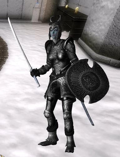 Female Black Elven Armor