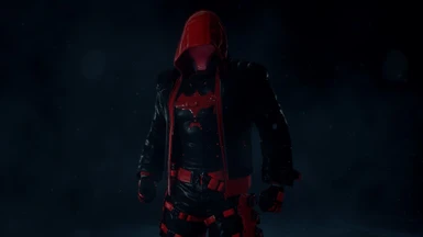 DLC Red Hood (Black Jacket)