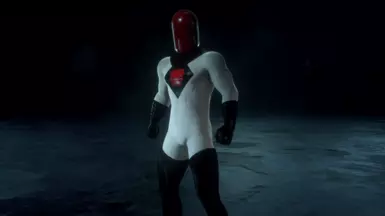 Red Hood  Judd Winick (Batman And Robin Comic) Suit Slot
