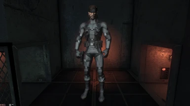 Solid Snake (New Suit Slot)