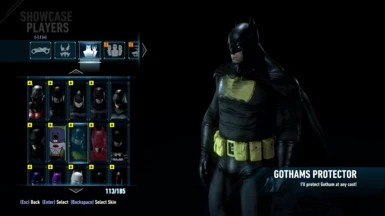Gothams Protector (New Suit Slot)