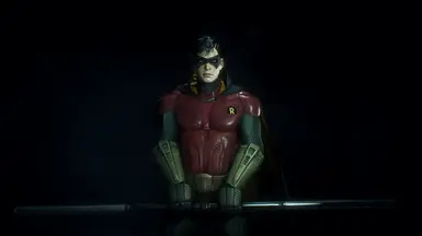 Definitive Jason Todd Robin