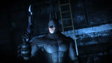 Proto-Asylum Suit