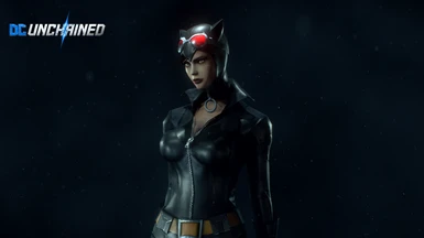 Catwoman DC Unchained (New Suit Slot)
