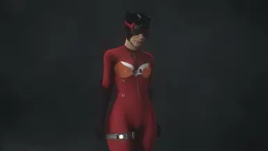 CATWOMAN MECHANICAL PRIVATE