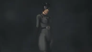 CATWOMAN TACTICAL V4